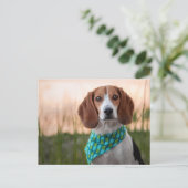 フォックスハウンド葉書 シーズンポストカード (スタンド正面)