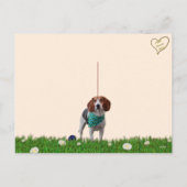 フォックスハウンド葉書 シーズンポストカード (裏面)