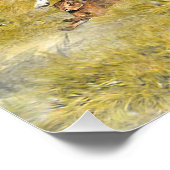 フォックスハウンド ポスター (コーナー)