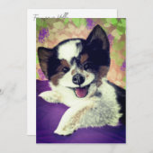 フォックスハッピードッグ顔 シーズンカード (正面/裏面)