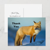 フォックス サンクユー ポストカード (正面/裏面)