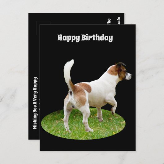 フォックス・テリア 誕生日の警備任務 ポストカード (正面/裏面)