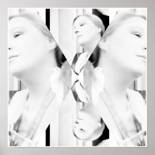 フォトアートクンストフォト写真Foto Fotografie Peace ポスター (正面)