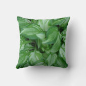 フォトアートグリーンプラント装飾用クッション クッション (裏面)