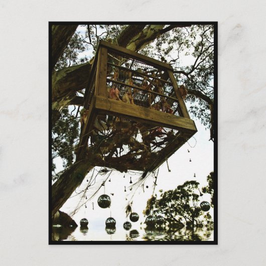 フォトアート@ Rainbow Serpent 'はがき ポストカード (正面)