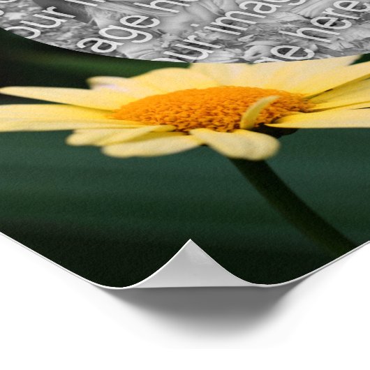 フォトイエローデイジーの花枠の追加 ポスター (角)