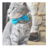 フォトインスタグラムカスタムキューブデスクアクセサリ フォトキューブ (右)