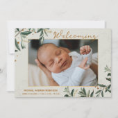 フォトウォーターカラー植物採集4枚の写真誕生 案内状 (正面)