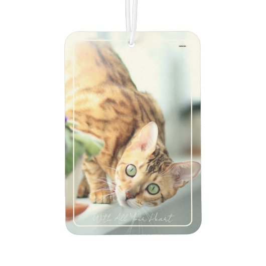 フォトエアーフレッシュナー文字&バラ- HAMbyWG カーエアーフレッシュナー (裏面)