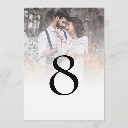 フォトオーバーレイ素朴スクリプトテーブル番号 (正面)