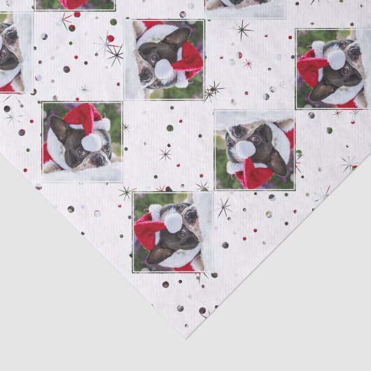 フォトカスタムフォトカラーマッチング雪と星 |ペット 薄葉紙 (詳細)