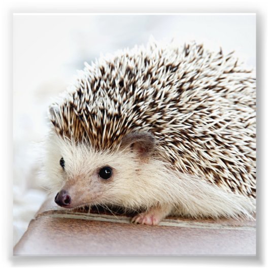 フォトカスタムプリント フォトプリント            (正面)