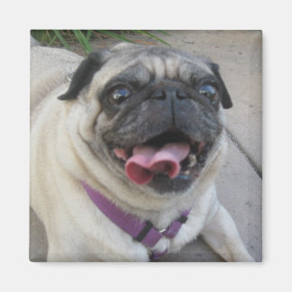 フォトカスタムマグネット マグネット