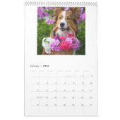 フォトカレンダー2025 – 新規開始 カレンダー (1月 2026)