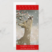 フォトカード シーズンカード (正面/裏面)