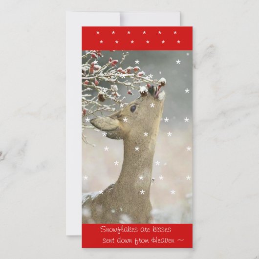 フォトカード シーズンカード (正面)