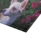 フォトガラス切断/チャクタリーボード カッティングボード (角)