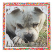 フォトキューブ – プライマリカラーフレーム – HAMbWG (右)