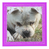 フォトキューブ – 明るい色のフレーム – HAMbWG (右)