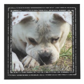 フォトキューブ – 黒いフレーム – HAMbWG (右)