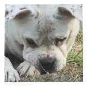 フォトキューブ – HAMbWG (右)