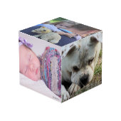 フォトキューブ – HAMbWG (正面アングル)