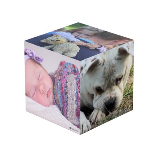 フォトキューブ – HAMbWG (正面アングル)