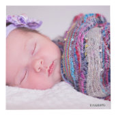 フォトキューブ – HAMbWG (正面)