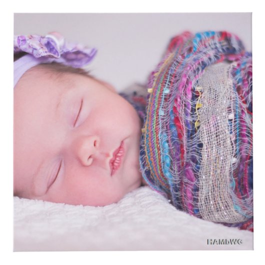 フォトキューブ – HAMbWG (正面)