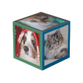 フォトキューブ – HAMbWG -カラフルフレーム (裏面アングル)