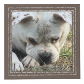 フォトキューブ – Mochaフレーム – HAMbWG (右)