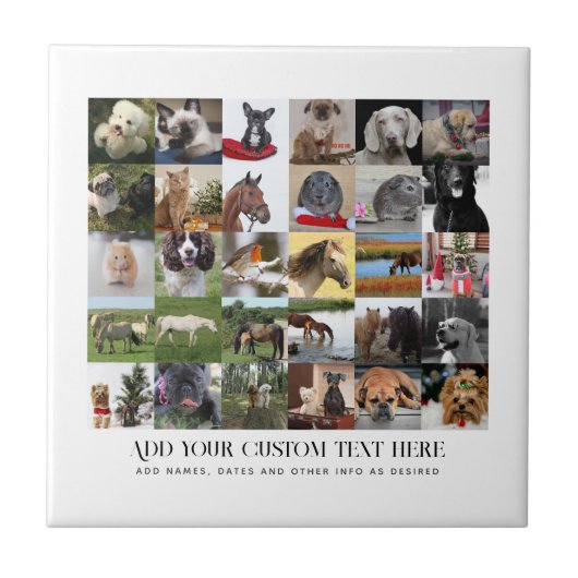 フォトギフトテンプレートファミリーフレンドペットカスタム タイル (正面)