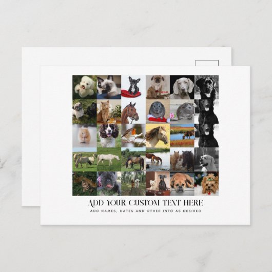 フォトギフトママパパおじいちゃんおばあちゃんペット友達 インビテーションポストカード (正面/裏面)