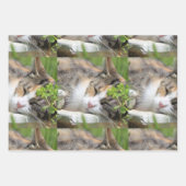 フォトギフトラップHAMbyWG ラッピングペーパーシート (正面3)