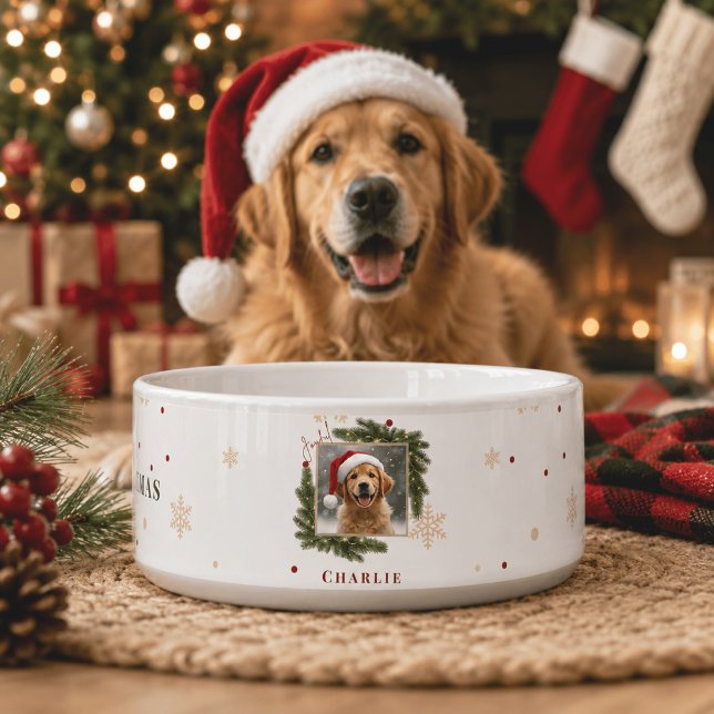 フォトクリスマスペットボウル 名入れ 写真入り ボウル (クリエイターアップロード済み)