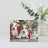 フォトクリスマス シーズンポストカード (スタンド正面)