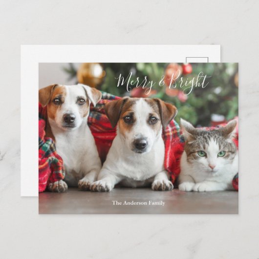 フォトクリスマス シーズンポストカード (正面/裏面)