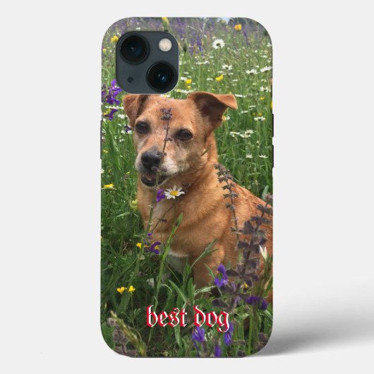 フォトグラファーの電話カバー Case-Mate iPhoneケース (裏面)