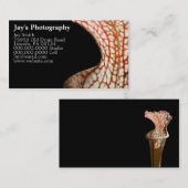 フォトグラファー名刺 名刺 (正面/裏面)