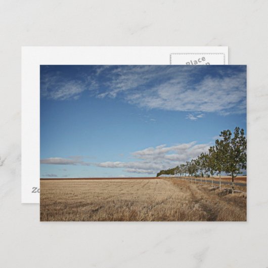 フォトグラフィアスデルカミーノデサンティアゴ ポストカード (正面/裏面)