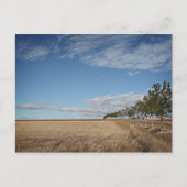 フォトグラフィアスデルカミーノデサンティアゴ ポストカード (正面)