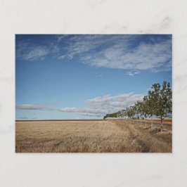 フォトグラフィアスデルカミーノデサンティアゴ ポストカード