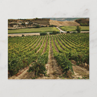 フォトグラフィアスデルカミーノデサンティアゴ ポストカード