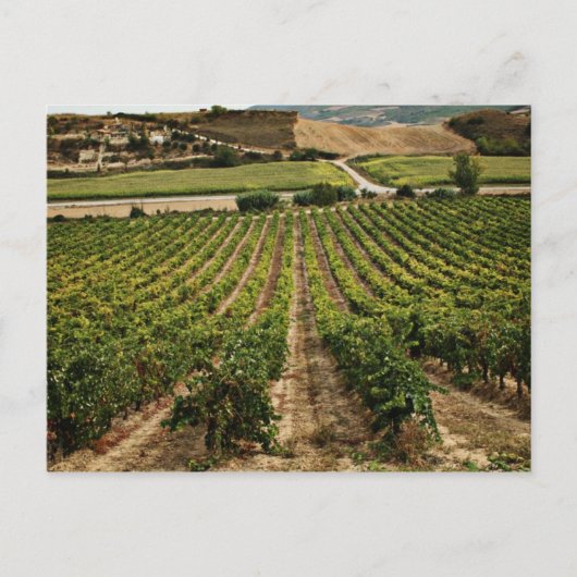 フォトグラフィアスデルカミーノデサンティアゴ ポストカード (正面)