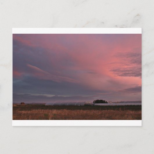 フォトグラフィアスデルカミーノデサンティアゴ ポストカード (正面)