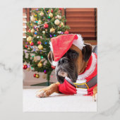 フォトコラージクリスマスカー実在ド金箔 箔招待状 (裏面)