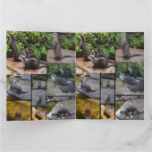 フォトコラージュのジャンボグリーティング カード (内部)