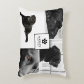 フォトコラージュコンテンポラリーペットの思い出 |犬 アクセントクッション (正面(垂直))
