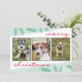 フォトコラージュメリークリスマス シーズンカード (スタンド正面)