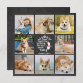 フォトコラージュ犬の紛失の記憶カード8 招待状 (正面/裏面)